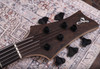 F Bass BN5 5-String Fretted - Sinker Redwood Top (Used)