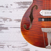 Retrograde Cambridge Hollowbody (Used)