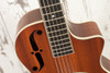 National El Trovador Cutaway Mike Dowling Signature (Used)