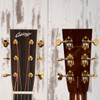 Collings D42 A - Adirondack Spruce Top