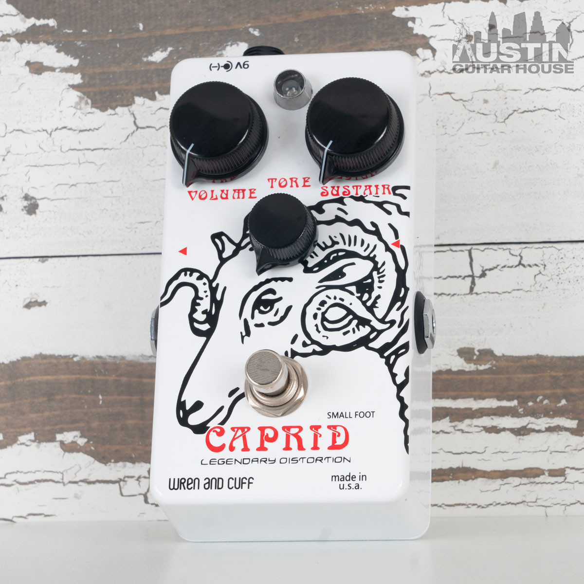 ギター Wren and Cuff Caprid Small Foot DSC04436__68860.1699561181.jpg