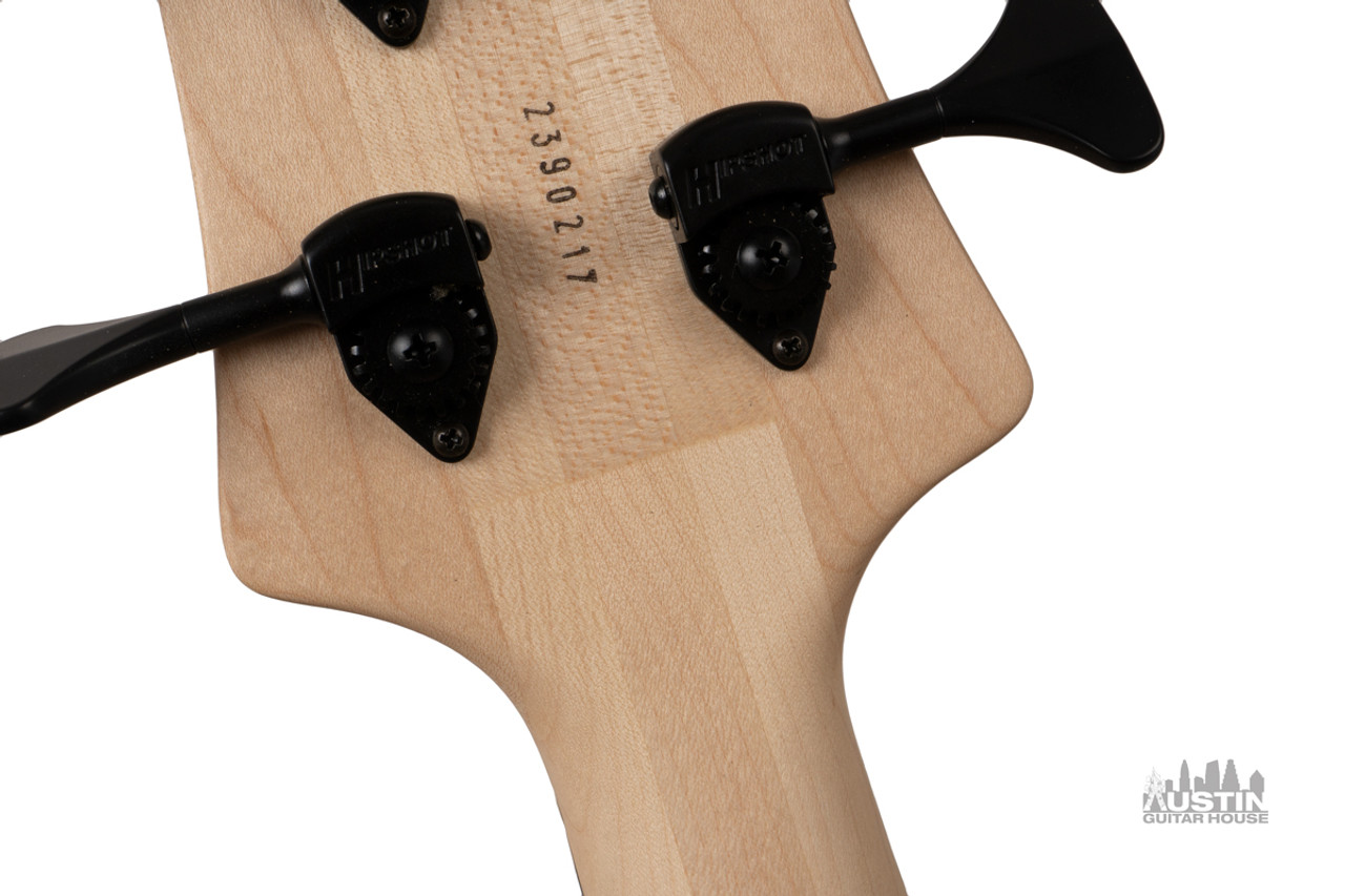 Elrick Standard Series, Handmade e-volution Fretless 5-String Bass Guitar,  Satin Matte Natural Finish, Fretless Gabon Ebony Fingerboard - Elrick Bass  Guitars