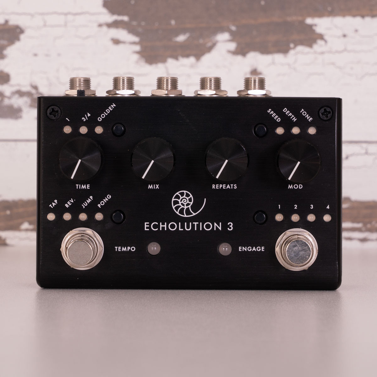 AGH | Pigtronix Echolution 3