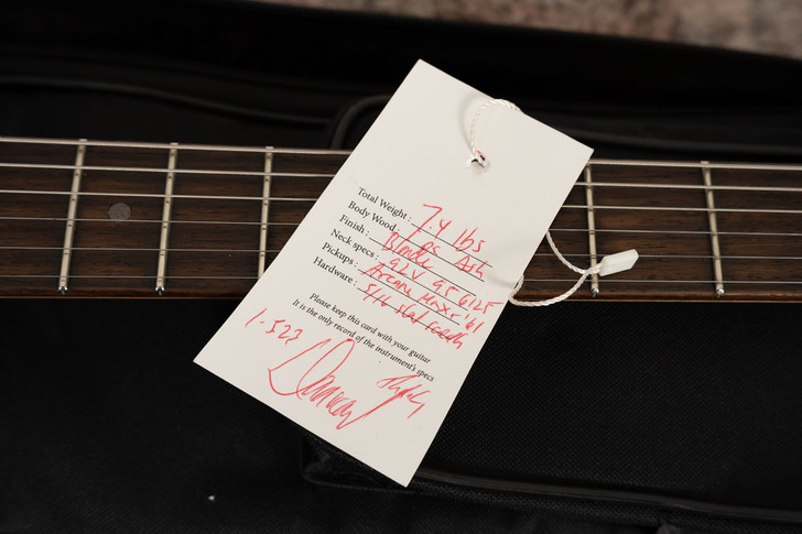 Danocaster Singlecut Mongrel (USED)
