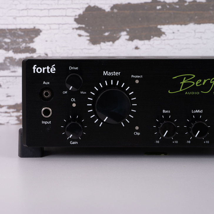 Bergantino Forte D Bass Head