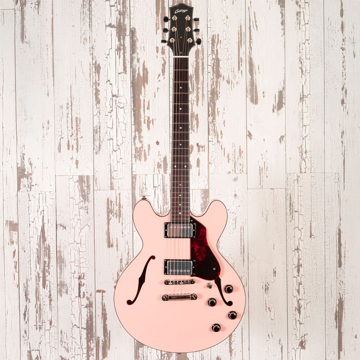 Collings I-35 LC Deluxe Shell Pink & Tortoise  w/ThroBak SLE-101+