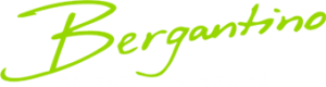 bergantino-logo-green-white-rgb-300x80.png