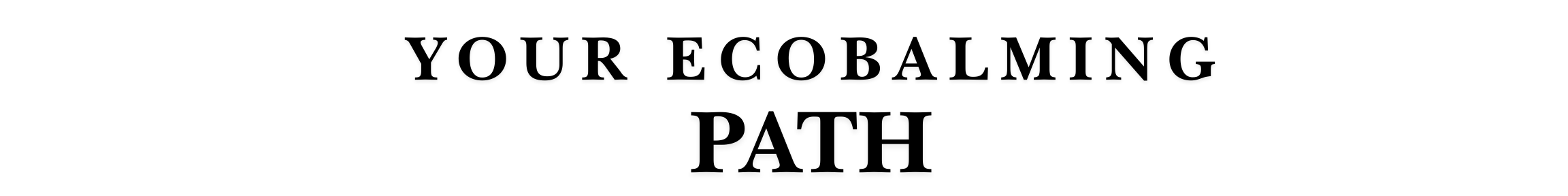 eco-fix-2.png