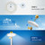 Solar LED Flagtop Pole Light - 420 Lumens - LumeGen