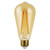 LED ST19 Amber Filament - 5.5W - Dimmable - 60W Equiv - 500 Lumens - 2200K - Euri Lighting