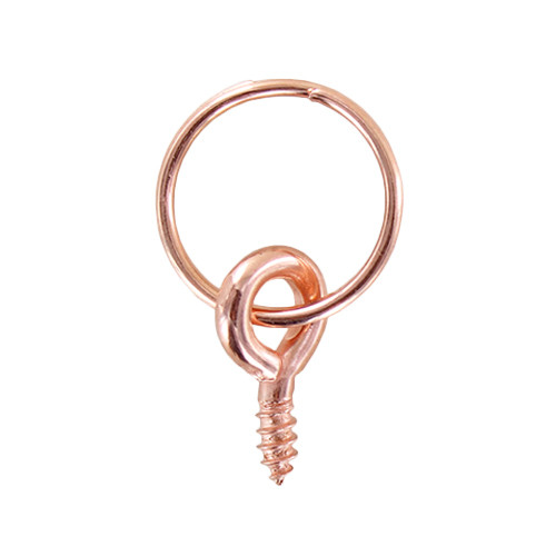 Screw rings used by picture framers to hang frames