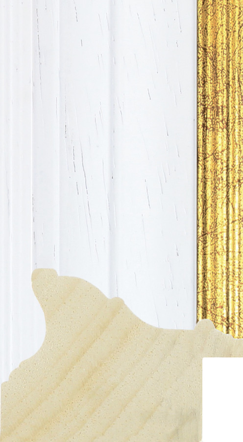 Millbrook 49mm White GSE Wood Moulding