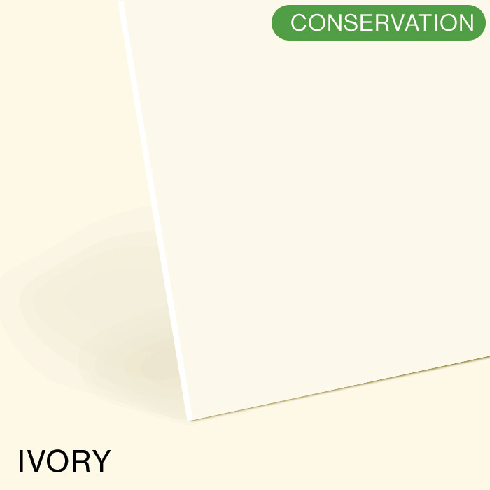 Ivory Conservation White Core