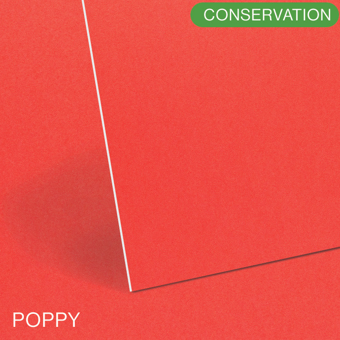 Poppy Red Conservation White Core