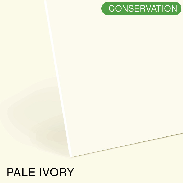 Pale Ivory Conservation White Core