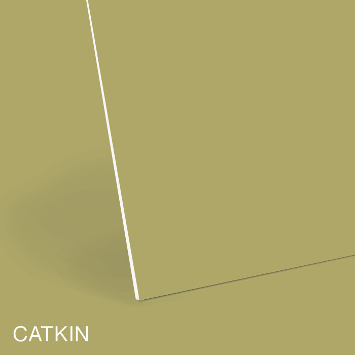 Catkin White Core+