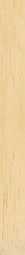 Spacer 9mm Natural Woodgrain Wood Moulding