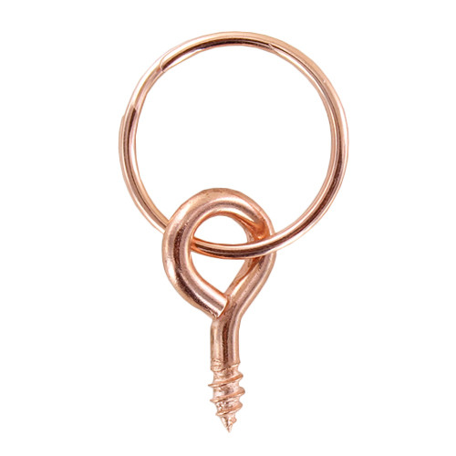 Screw rings used by picture framers to hang frames