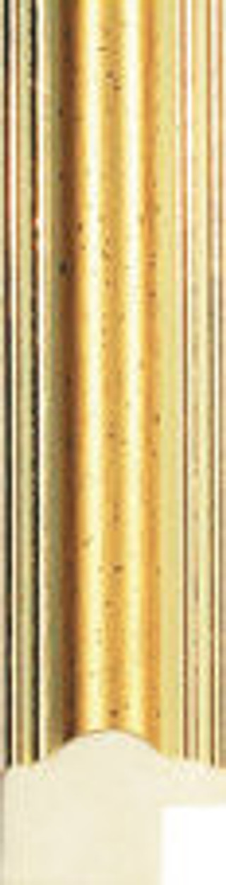 302s 19mm Gold Polcore Moulding