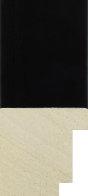 40mm Black cube moulding with 2 rebates