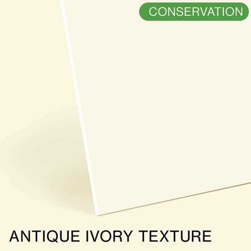 Antique Ivory Conservation Mountboard Sample
