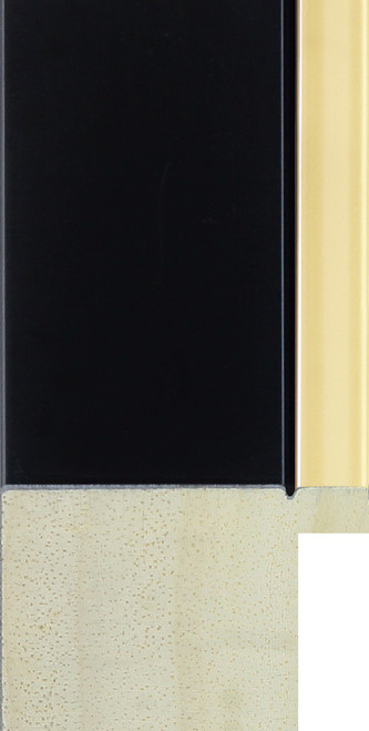 Matt black memorabilia frame with gold inner edge