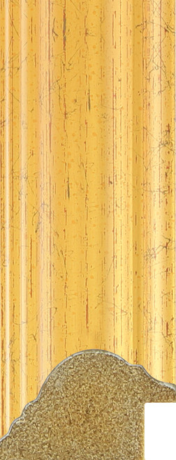 Canterbury 34mm Gold Basics Polcore Moulding