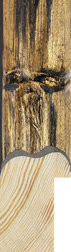Gold and black bamboo picture frame moulding by the length
