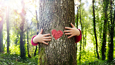 Love heart on tree