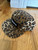 Supreme Leopard Camo Camp Cap – Bold Animal Print Streetwear Icon