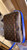 Brand New Louis Vuitton x NBA Nil Messenger Bag with Box – Authentic LV Collaboration
