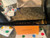 Louis Vuitton x Yayoi Kusama My Monogram Square Painted Dots Sunglasses – Black Multicolored Frame, Limited Edition