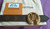 Authentic Louis Vuitton Women's Monogram Belt – Reversible LV Circle 30mm Calf Leather & Coated Canvas (Size 85cm)