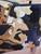 Louis Vuitton Artycapucines Zhao Zhao Bag – Extremely Limited Edition, New & Sold Out Worldwide