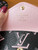 Louis Vuitton Felicie Strap & Go Limited Edition Monogram dust bag