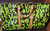 Louis Vuitton Keepall 50 Stephen Sprouse Graffiti in green Monogram canvas with Vachetta leather trim and gold-tone hardware