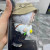 Authentic Pop Mart Labubu The Monsters Fall in Wild Vinyl Plush Pendant.