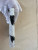 Front view of the brand new Louis Vuitton Ski Pocket Organizer M14882 from the Father's Day capsule, showing the ski print on White Clay colored Monogram canvas