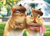 Chipmunks Kissing Valentine's Day Card