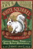 White Squirrel Brevard North Carolina Sign