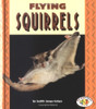 Flying Squirrels Book