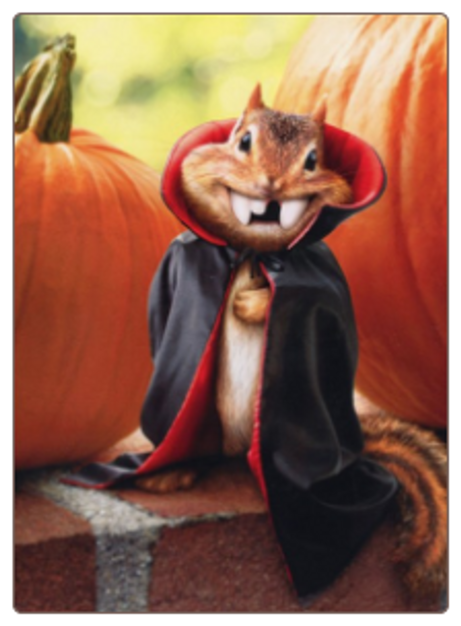 Vampire Chipmunk Halloween Card