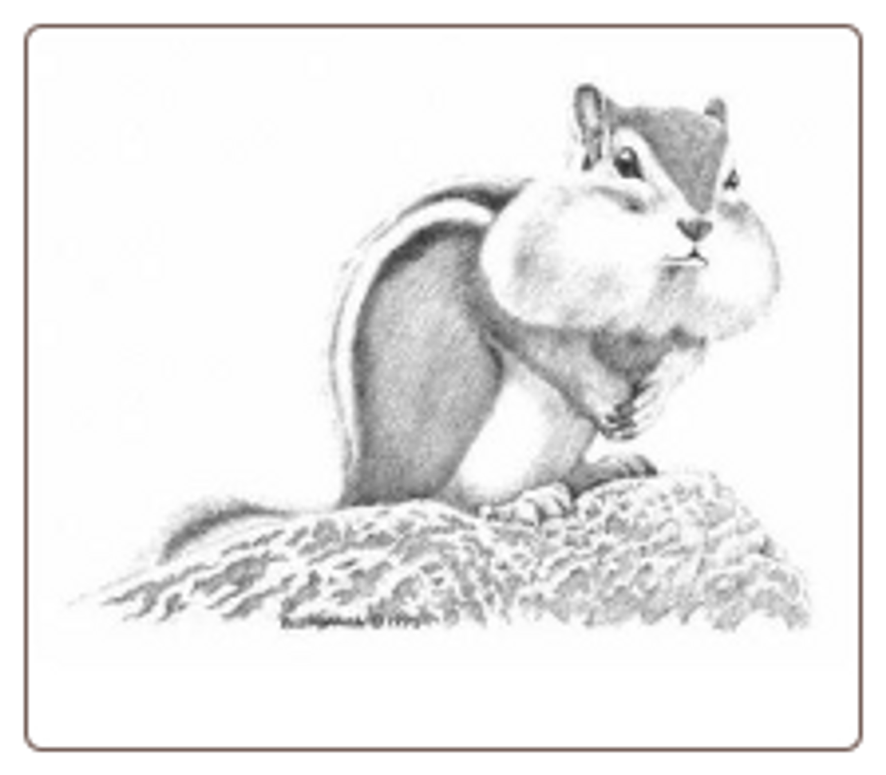 Chipmunk Note Cards