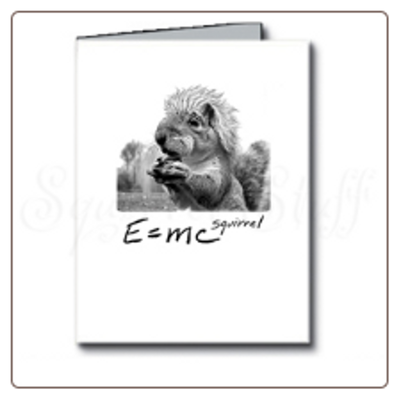 E=mc Squirrel Note Card