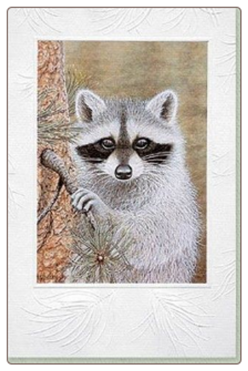 Wild Neighbor Raccoon Blank Cards pk/10