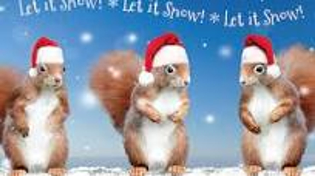 Squirrels wearing Santa Hats Christmas Cards Box of 12