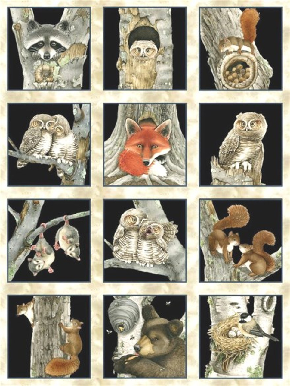 Hoo's Tree Wildlife panel. ​​fabric with beautiful pictures of Squirrels, Raccoons, Owls, Bears, Opossums, Fox and Chicadees.