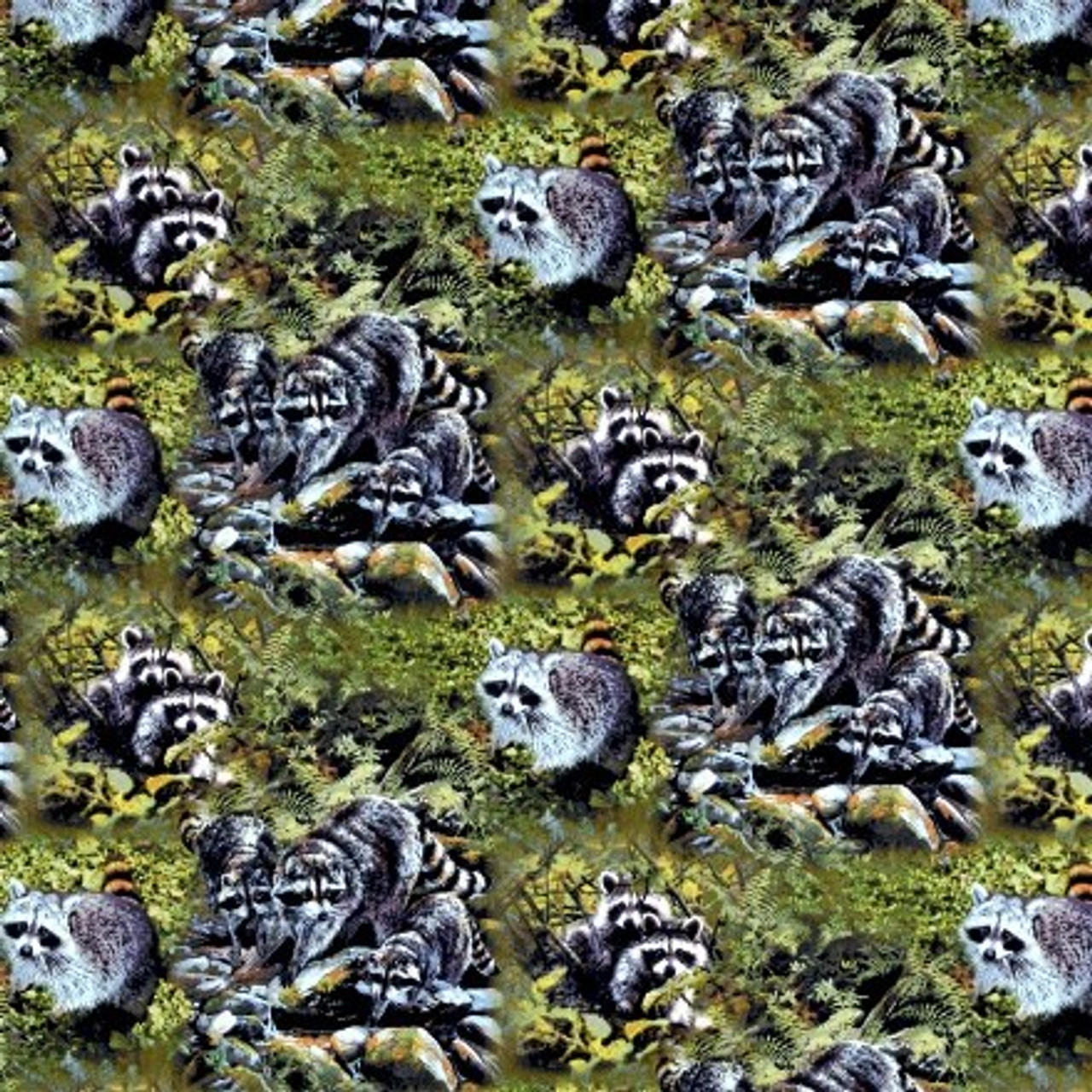 Raccoon Fabric