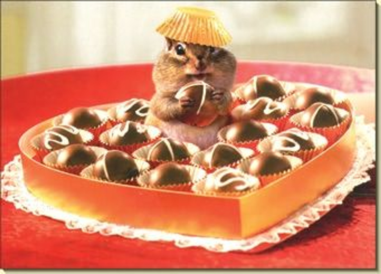 Chipmunk in Box of Candy Valentine's Card