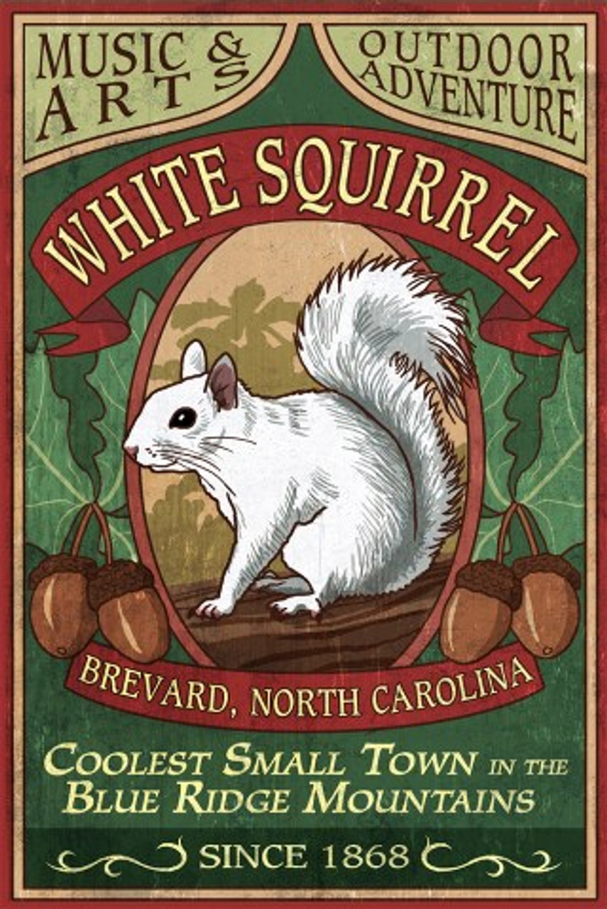 White Squirrel Brevard North Carolina Sign